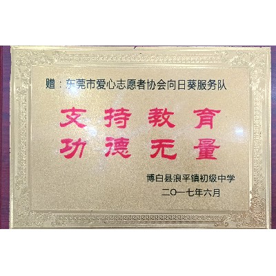 Dongguan Sunflower Student Assistance Service Team - Langping Town Junior High School in Bobai County