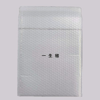 garment bag
