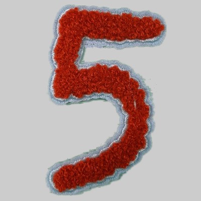 embroidery print
