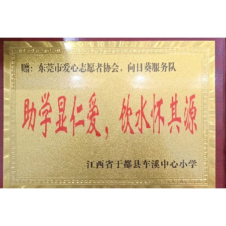 Dongguan Sunflower Student Assistance Service Team - Chexi Central Primary School in Yudu County, Jiangxi Province